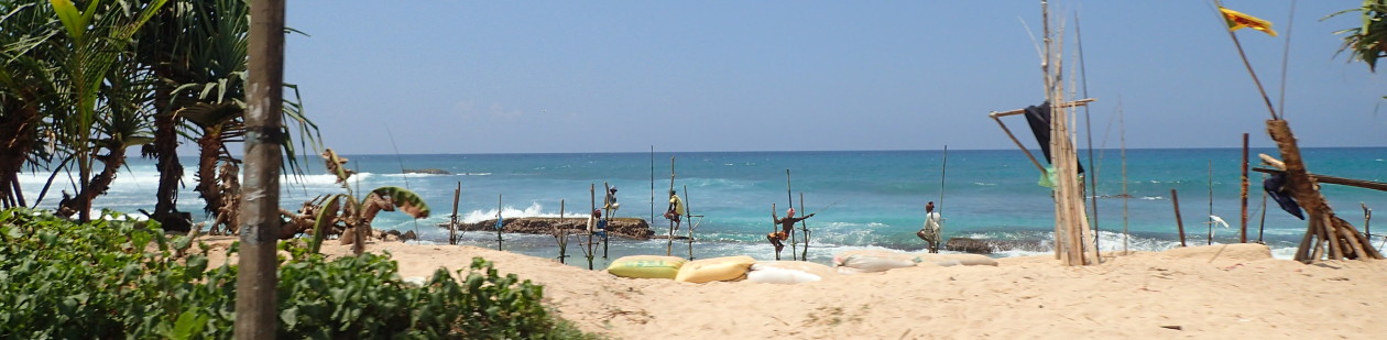 RISING SEAS: From the Indian Ocean to the Caribbean Sea